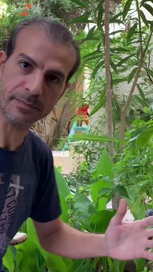 TikTok video thumbnail by smart_gardener20