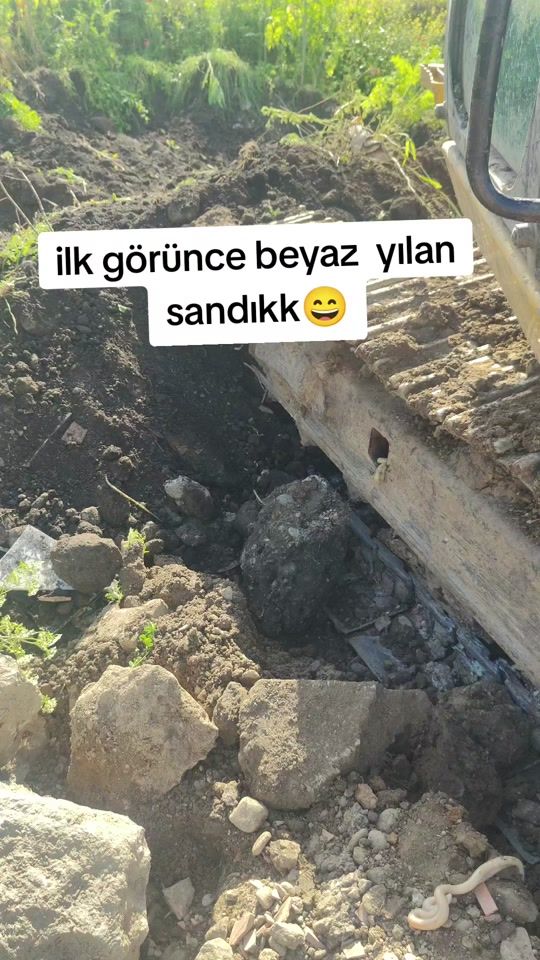 TikTok video thumbnail by idris.k55