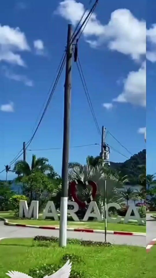 TikTok video thumbnail by malalasookar