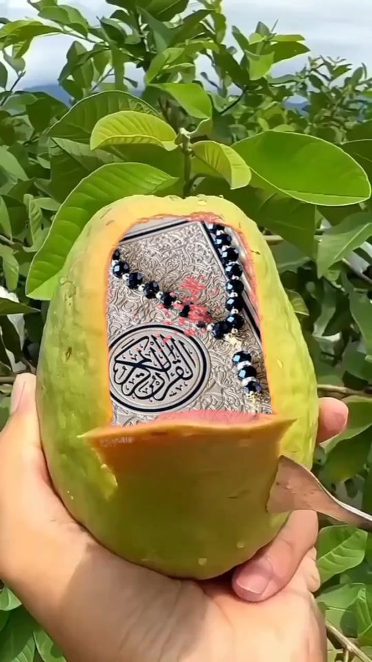 TikTok video thumbnail by bakkechcha9
