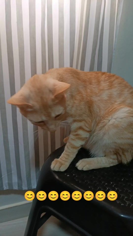 TikTok video thumbnail by blue_mercury3