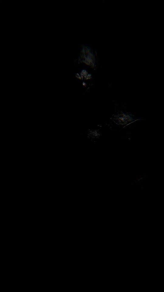 TikTok video thumbnail by l.gallit77