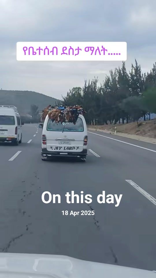 TikTok video thumbnail by abi4f2
