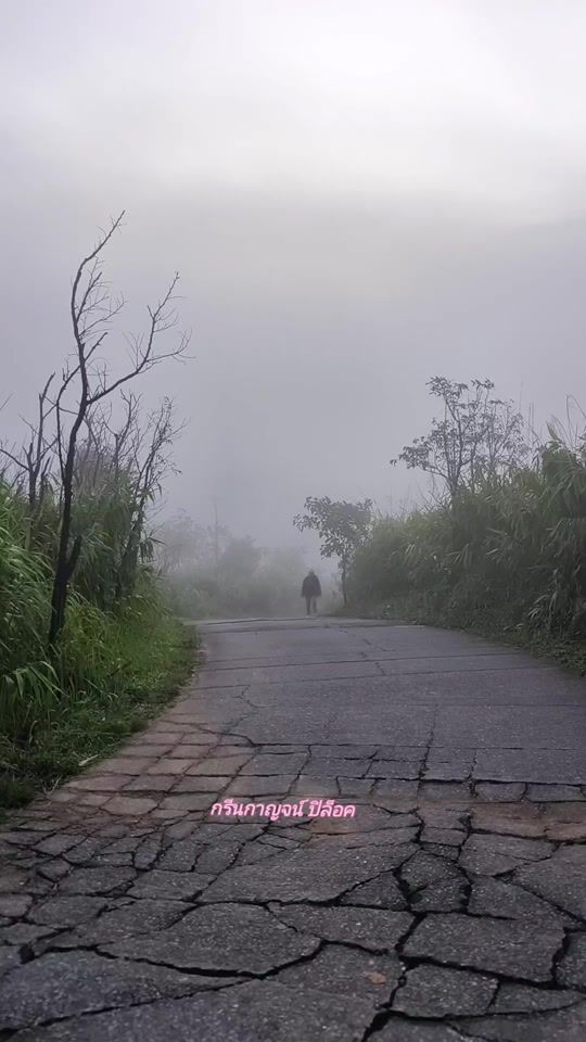 TikTok video thumbnail by greenkanpilok