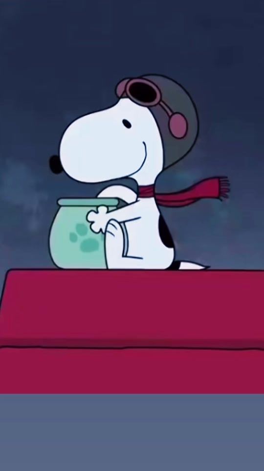TikTok video thumbnail by snoopychannel