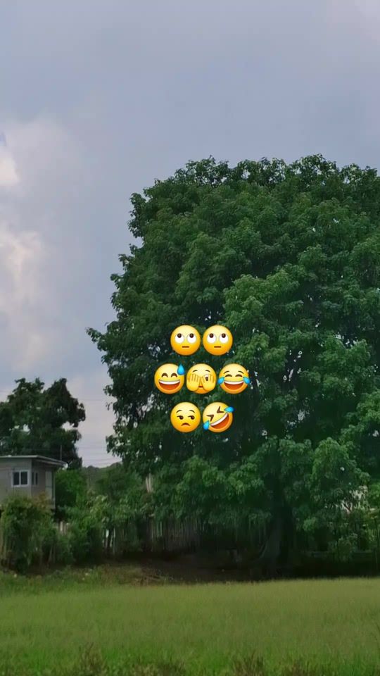 TikTok video thumbnail by lobotc7