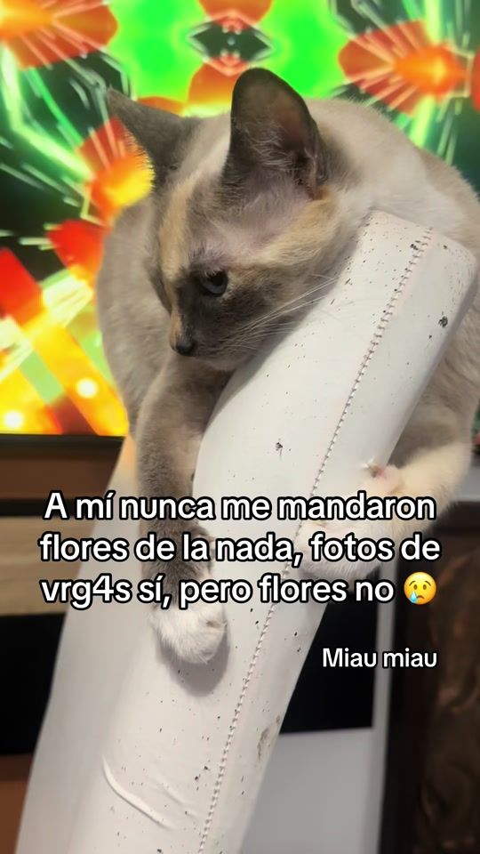 TikTok video thumbnail by ell_rood