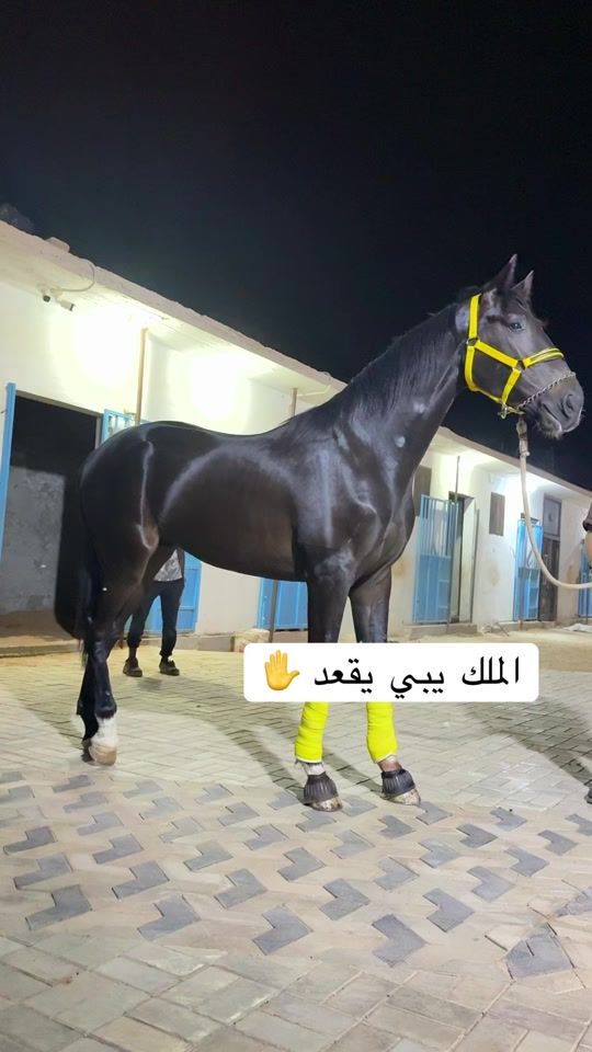 TikTok video thumbnail by akram_0218