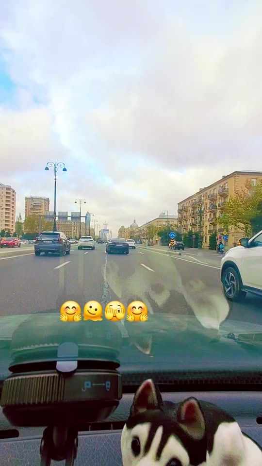 TikTok video thumbnail by dnya6666