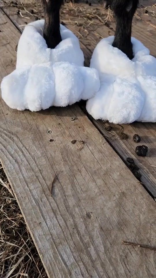TikTok video thumbnail by goif....3310_0