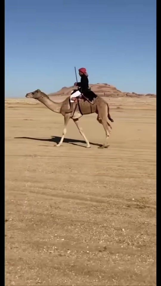 TikTok video thumbnail by .pk111