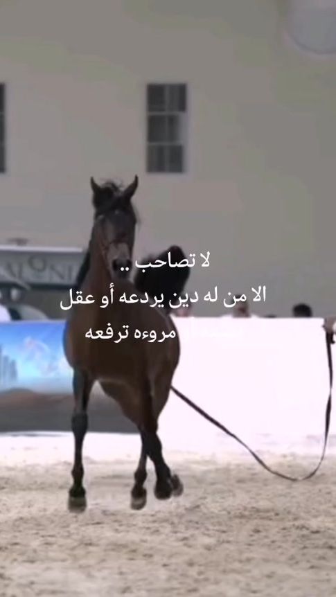 TikTok video thumbnail by ...saad606