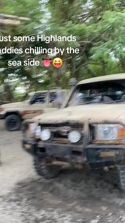 TikTok video thumbnail by meya32191