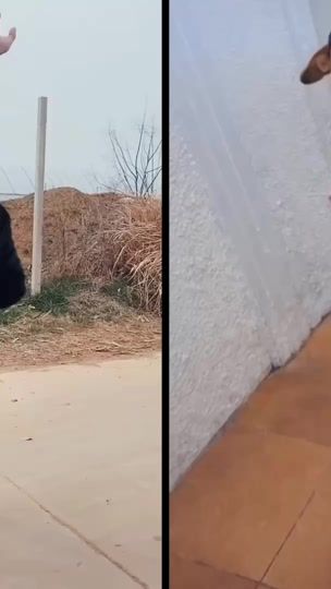 TikTok video thumbnail by mile816503