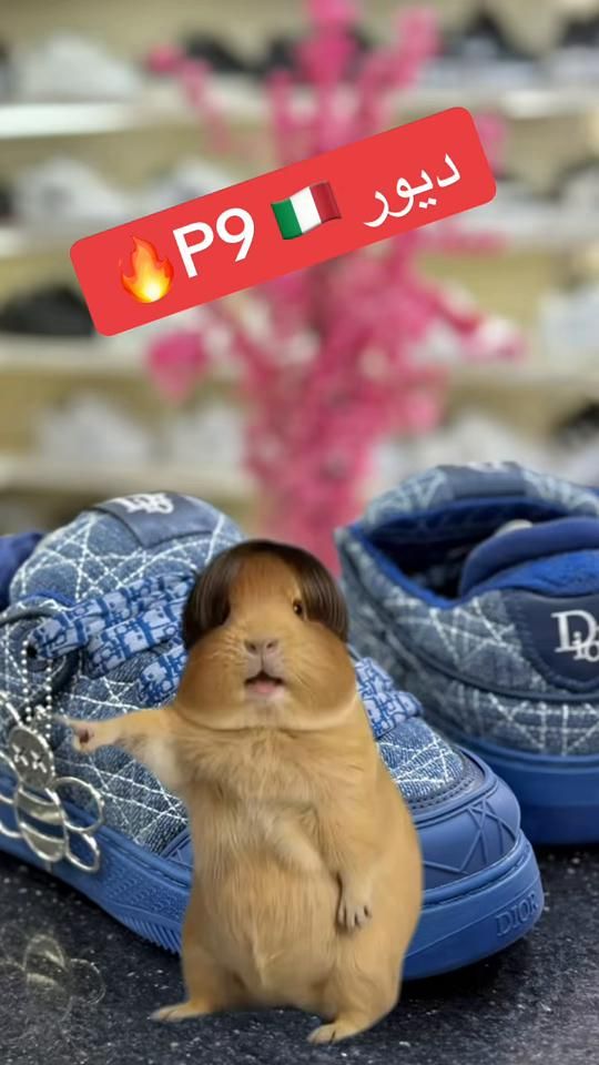 TikTok video thumbnail by harkastore