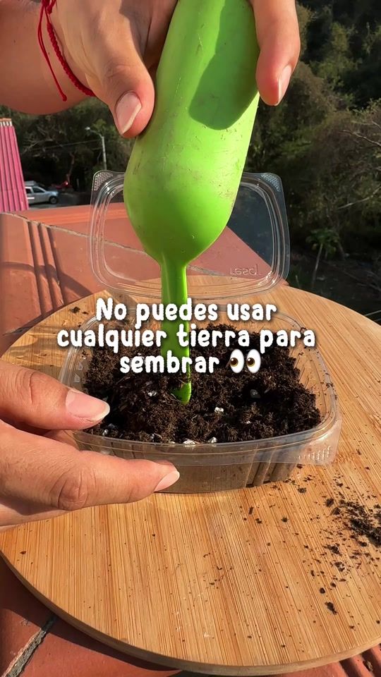 TikTok video thumbnail by campeamigas