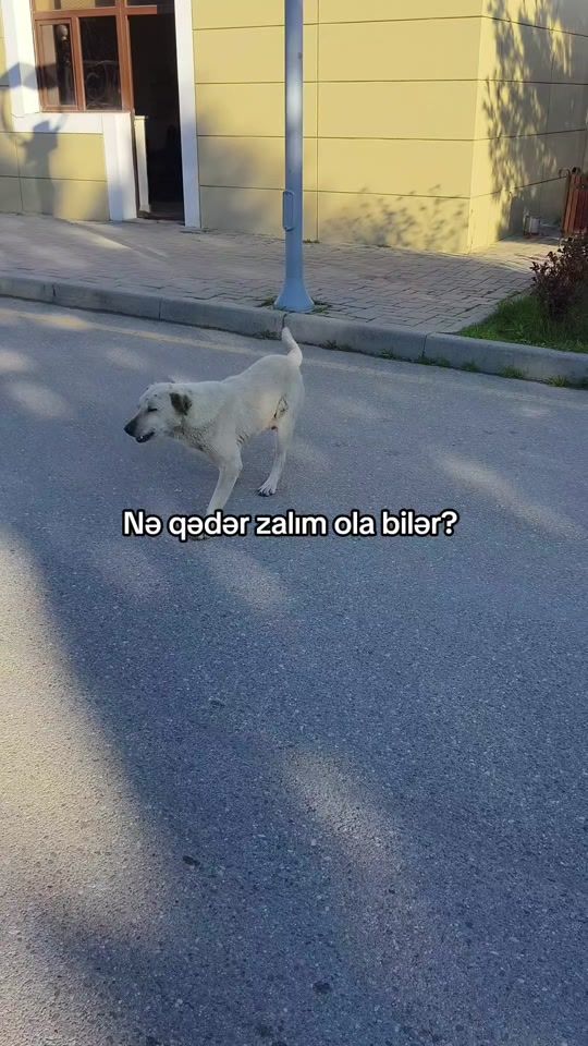 TikTok video thumbnail by tuttopassa1997