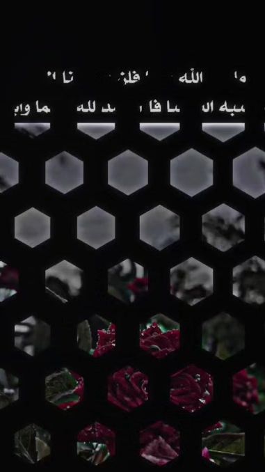 TikTok video thumbnail by n.__2__.n