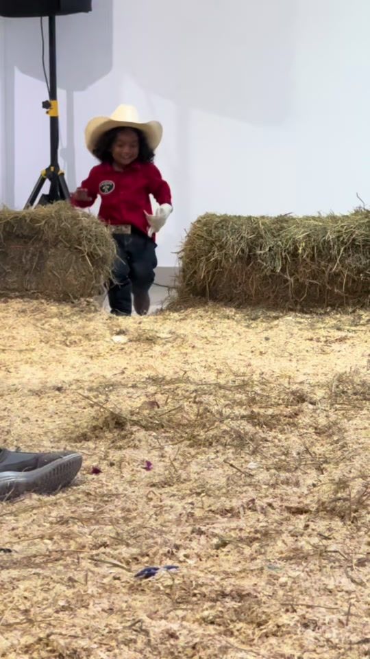 TikTok video thumbnail by jv_performancehorses