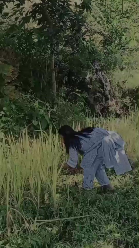 TikTok video thumbnail by 01dimpalkali