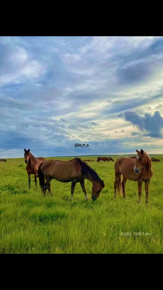 TikTok video thumbnail by le_tr_a