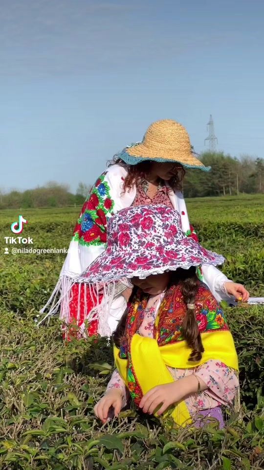 TikTok video thumbnail by niladogreenlankaran