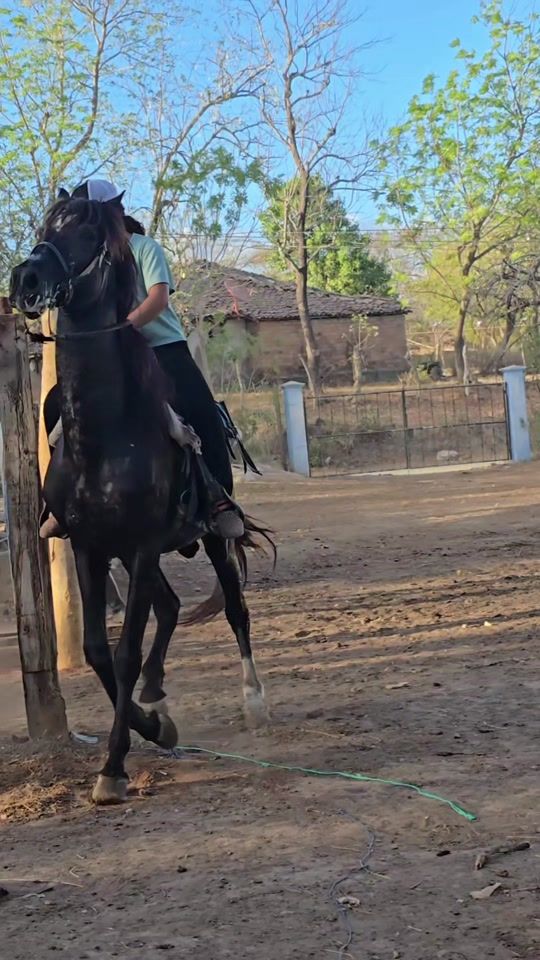 TikTok video thumbnail by luisarette.gs