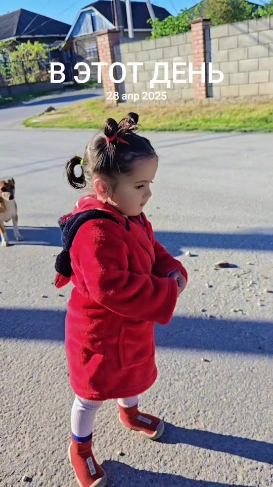 TikTok video thumbnail by mira_stoika