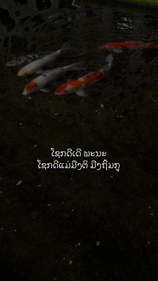 TikTok video thumbnail by memory.good07