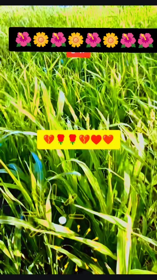 TikTok video thumbnail by 738tmexshje