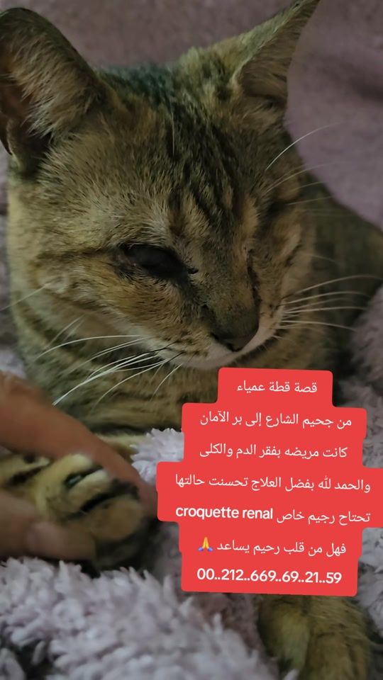 TikTok video thumbnail by ninafadel