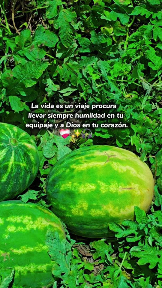TikTok video thumbnail by juangarcia0367