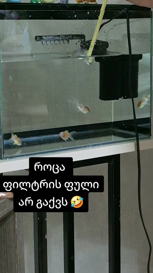 TikTok video thumbnail by 12345mail5