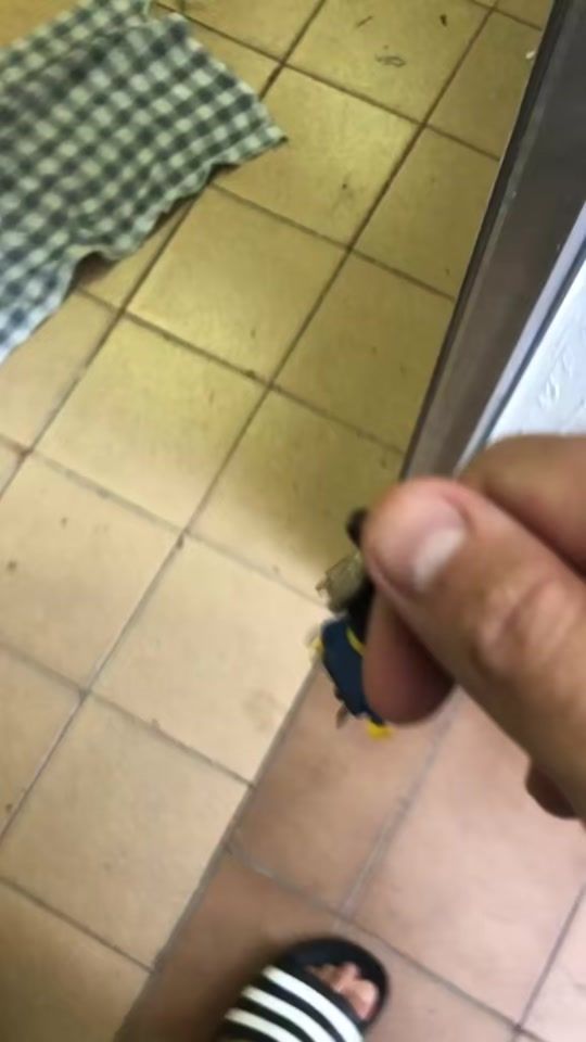 TikTok video thumbnail by daniloreissoficial