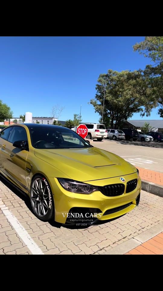 TikTok video thumbnail by capturinculture_sa