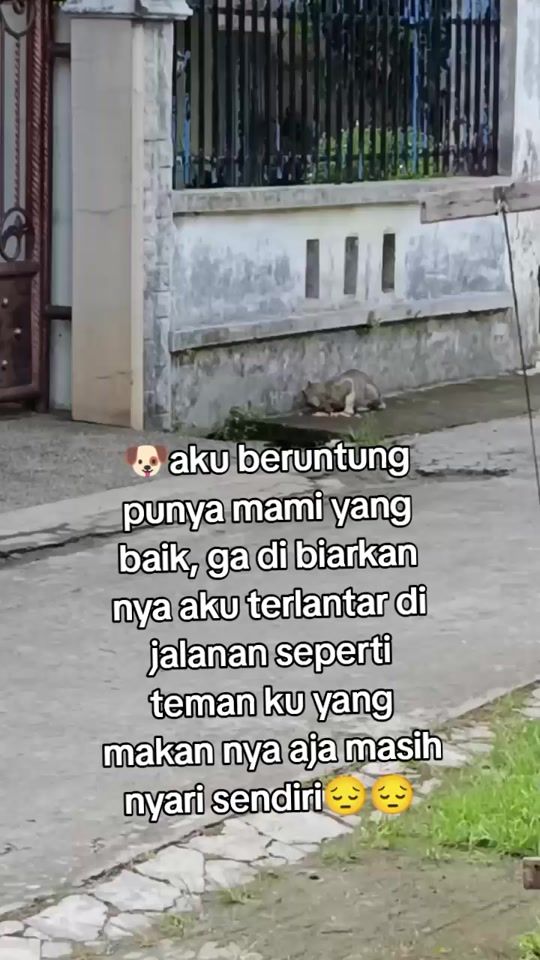 TikTok video thumbnail by mama.cinta.siahaan