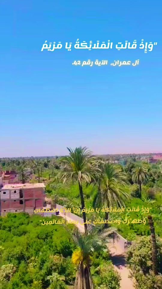 TikTok video thumbnail by .2359194