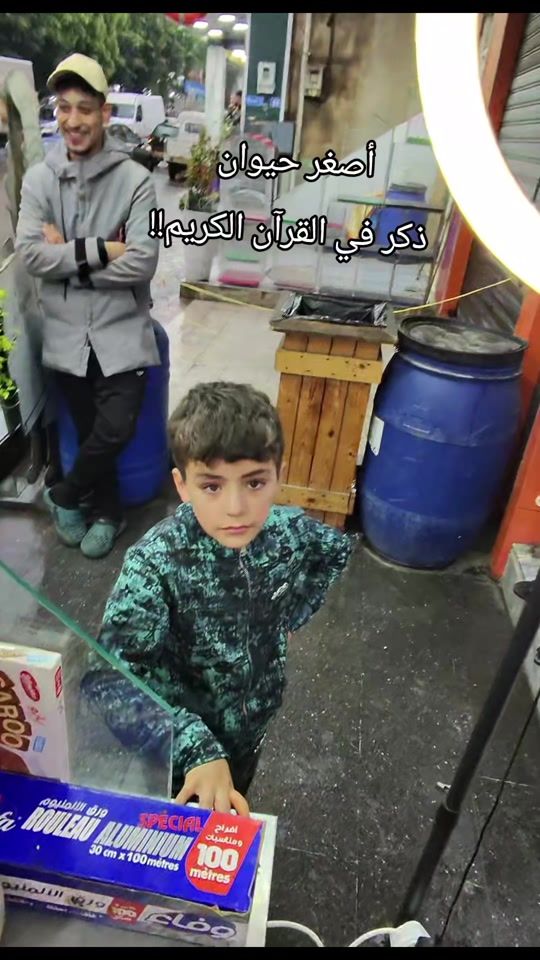 TikTok video thumbnail by ab_crepe