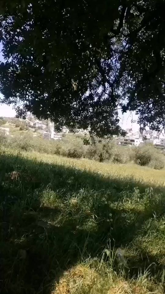 TikTok video thumbnail by vhjiopwe12389
