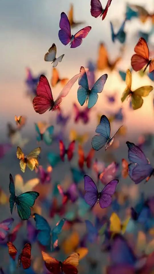 TikTok video thumbnail by anton810989