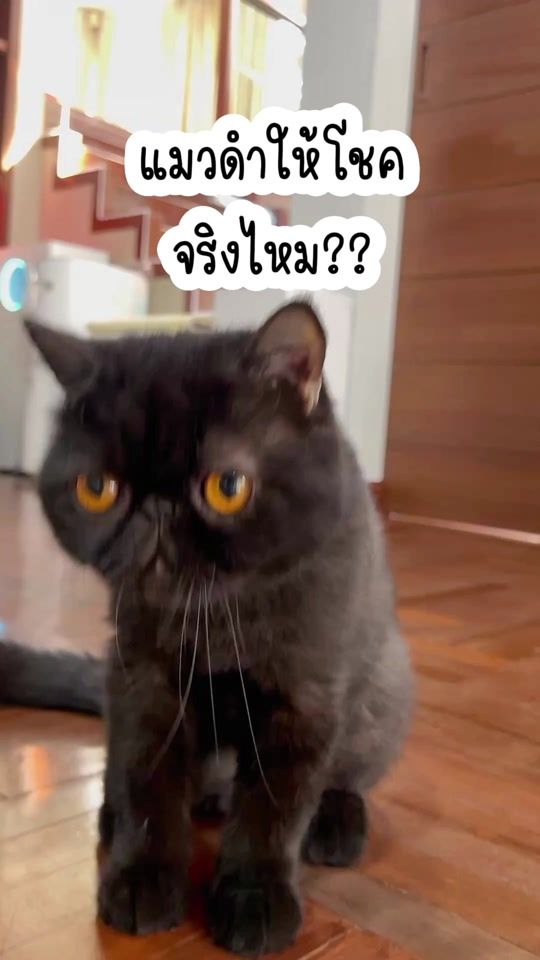 TikTok video thumbnail by jeab_shi