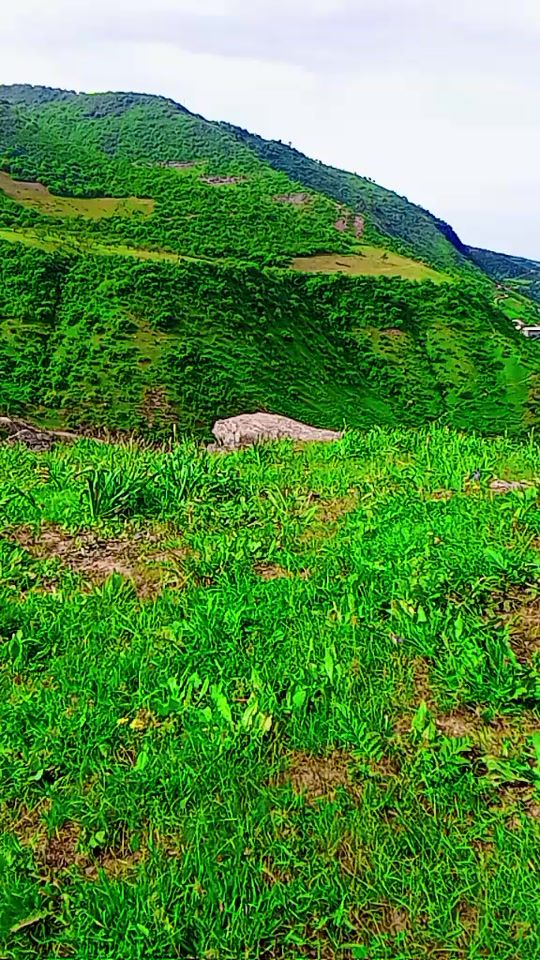 TikTok video thumbnail by farruxburiev475