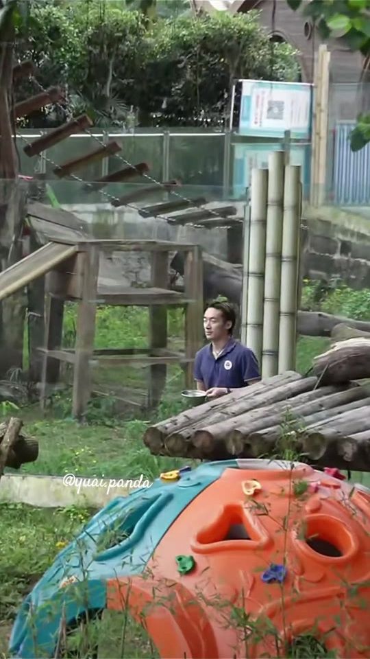 TikTok video thumbnail by yuai.panda