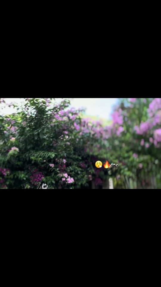TikTok video thumbnail by humber0504