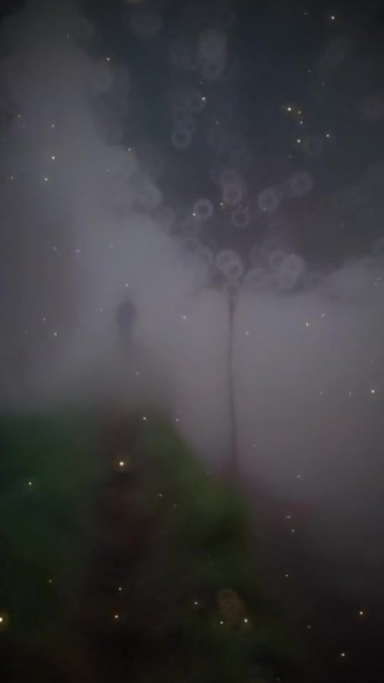 TikTok video thumbnail by iamsadaf1