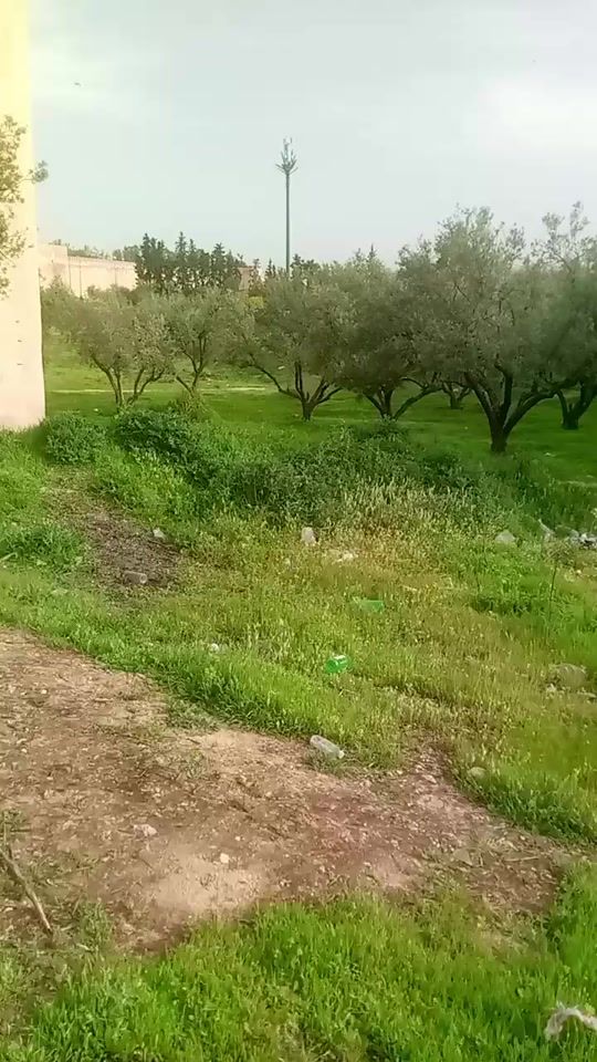 TikTok video thumbnail by mouhamedamine550