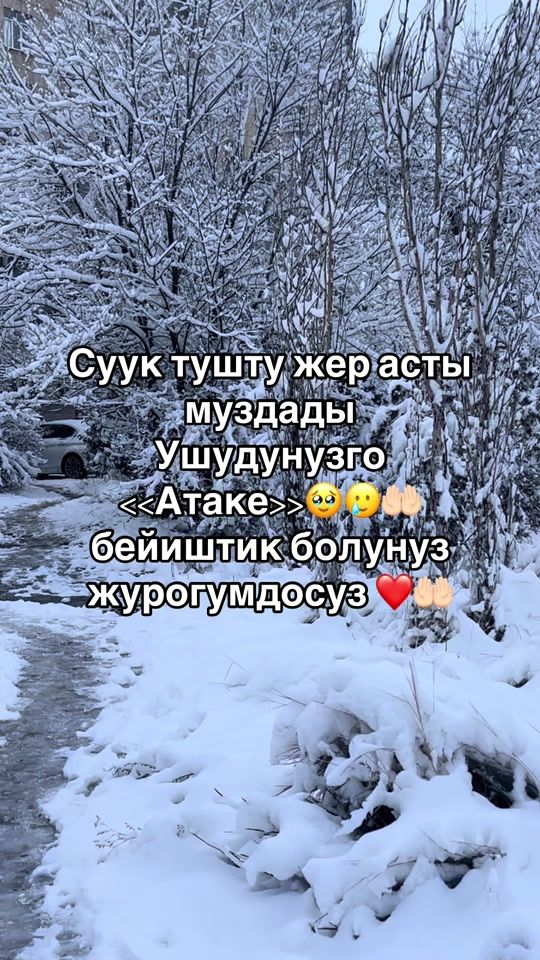 TikTok video thumbnail by __okeanmgo