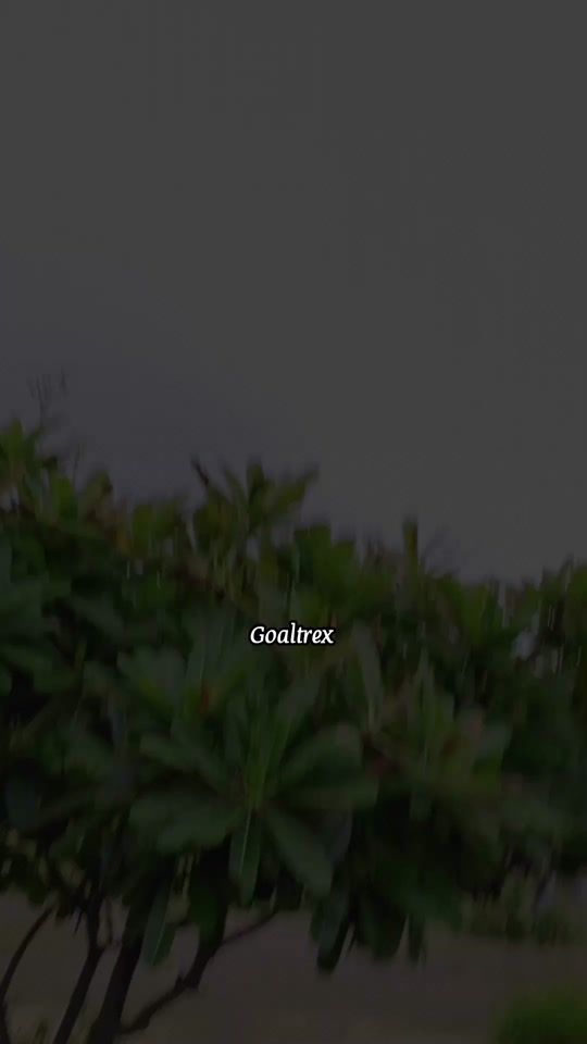 TikTok video thumbnail by goaltrex