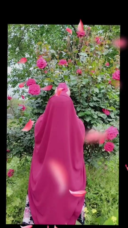 TikTok video thumbnail by allahuekber313
