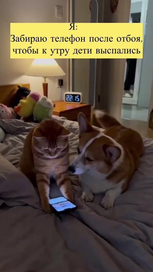 TikTok video thumbnail by ruinersha